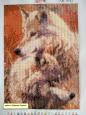 Набір Алмазної мозаїки АВ 3042 Вовки (повна зашивання)