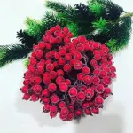 Калина 